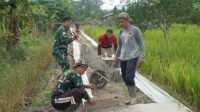 IMG-20251011-WA0015