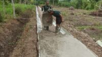 IMG-20251012-WA0052