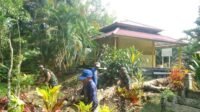 IMG-20251021-WA0096