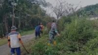 IMG-20251022-WA0008