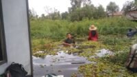IMG-20251024-WA0229