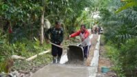 IMG-20251026-WA0020