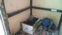 IMG-20251031-WA0062
