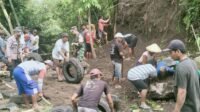 IMG-20251112-WA0038