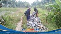 IMG-20251213-WA0028