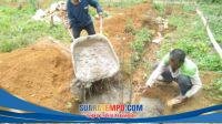 IMG-20251213-WA0038