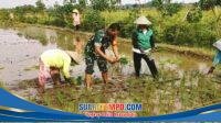 IMG-20251214-WA0037
