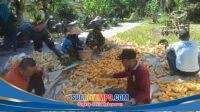 IMG-20251221-WA0036