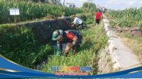 IMG-20251221-WA0046