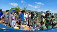 IMG-20251222-WA0010