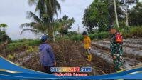 IMG-20251222-WA0060