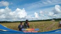 IMG-20251228-WA0012