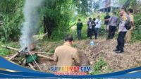 IMG-20251231-WA0008
