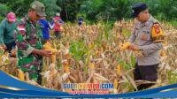IMG-20260103-WA0036