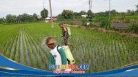 IMG-20260104-WA0031