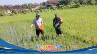 IMG-20260105-WA0052