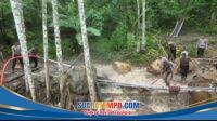 IMG-20260109-WA0003