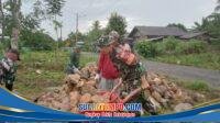 IMG-20260109-WA0116
