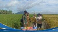IMG-20260112-WA0087