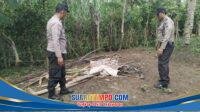 IMG-20260114-WA0001