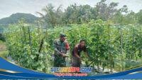 IMG-20260114-WA0042
