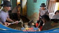 IMG-20260116-WA0002