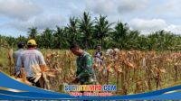 IMG-20260119-WA0096