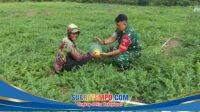 IMG-20260122-WA0079