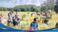 IMG-20260123-WA0141
