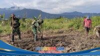 IMG-20260126-WA0003