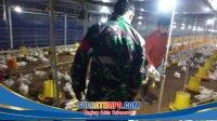 IMG-20260129-WA0074