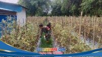 IMG-20260203-WA0083