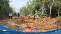 IMG-20260211-WA0116