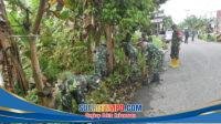 IMG-20260213-WA0035