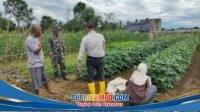 IMG-20260214-WA0108