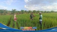 IMG-20260222-WA0048