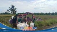 IMG-20260222-WA0068