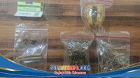 IMG-20260224-WA0020