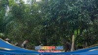 IMG-20260308-WA0071