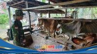 IMG-20260316-WA0089