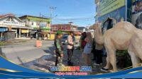 IMG-20260324-WA0106
