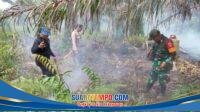 IMG-20260328-WA0042