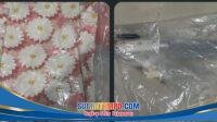 IMG-20260331-WA0001