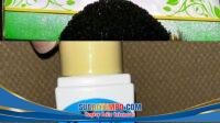 IMG-20260331-WA0007