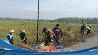IMG-20260404-WA0050