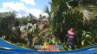 IMG-20260404-WA0067