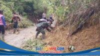 IMG-20260414-WA0075