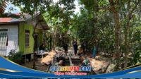 IMG-20260419-WA0093