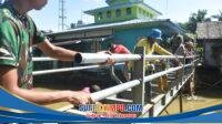 IMG-20260420-WA0033