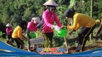 IMG-20260424-WA0014
